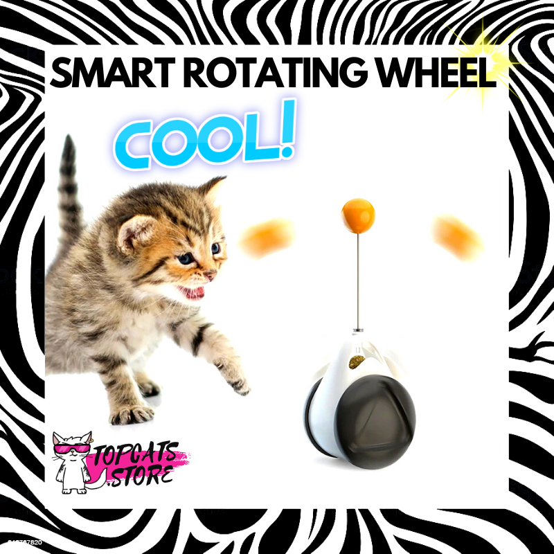 Smart Rotating Wheel Toy ⌁ Interactive Cat Toys ⚡ [5 Colors] 🛍️ SALE!🔥 - TopCats.Store