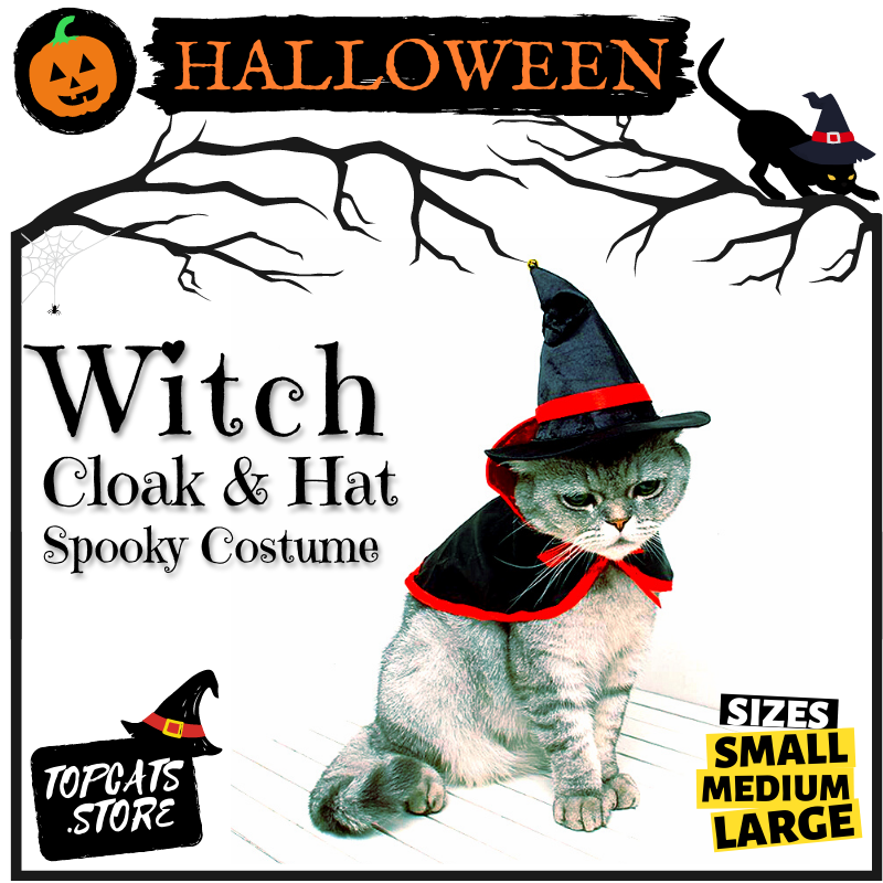 Halloween Witch Cloak & Hat Costume 🧙‍♀️ Cat Cosplay [All Sizes] 🎃 - TopCats.Store