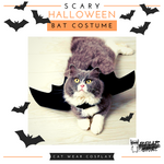 Scary Halloween Bat Costume 🦇 Cat Wear Cosplay 🎃 - TopCats.Store