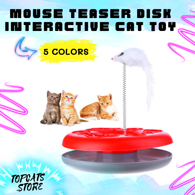 Mouse Teaser Disk Interactive Cat Toy ✔ - TopCats.Store