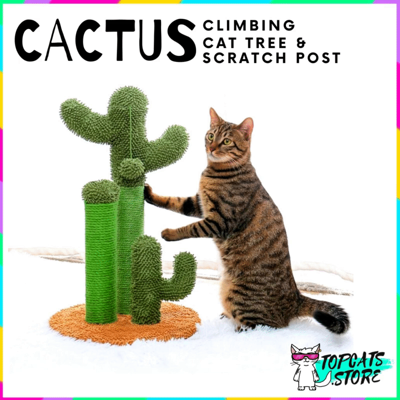 Cactus Climbing Cat Tree & Scratcher Post 🌵 [8 Models] 🛍️ NEW❗ - TopCats.Store