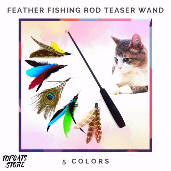 Feather Fishing Rod Teaser Wand Cat Toy [5 Colors] 🛍️ SALE! 🔥 - TopCats.Store