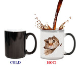 330ml Cute Cat Magic Mug Temperature Color Changing Chameleon Mugs Heat Sensitive Cup Coffee Tea Milk Mug Novelty Gifts - TopCats.Store