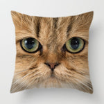Cute Pet Cat Face Decorative Animal Cushion Cover Sofa Vintage Black and White Home Couch Pillows Case Living Room Decoration - TopCats.Store
