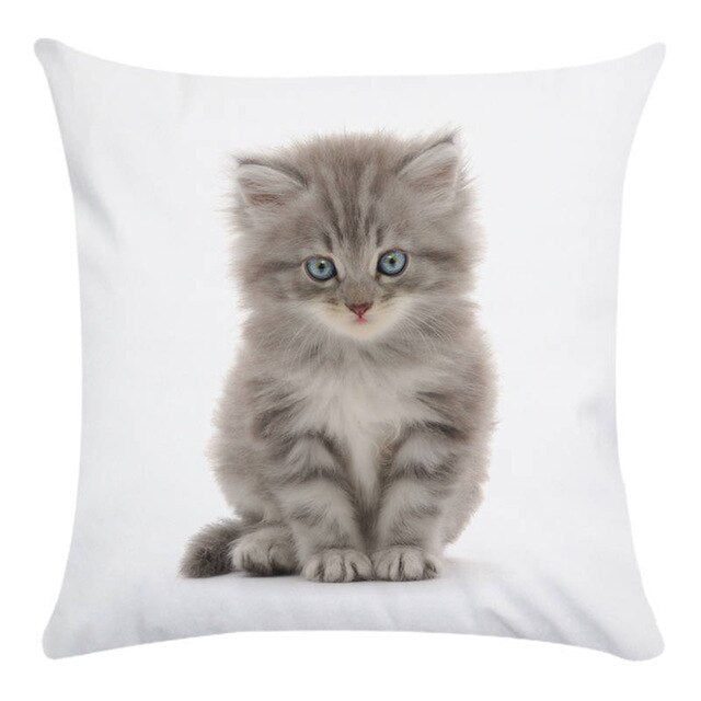 Animal Cute Cat Decorative Pillows Case Super Soft Print Cushion Cover  Living Room Decoration Accessories Home Decor for Chair - TopCats.Store