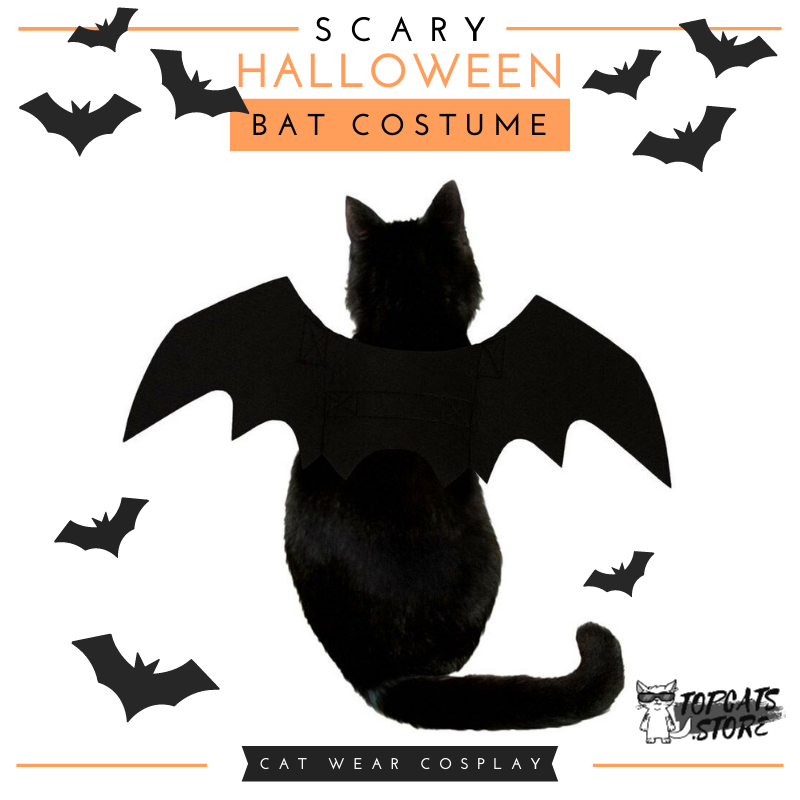 Scary Halloween Bat Costume 🦇 Cat Wear Cosplay 🎃 - TopCats.Store