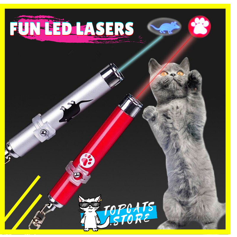 Fun LED Laser Cat Toy 😻 [5 Colors] 🛍️ SALE! 🔥 - TopCats.Store