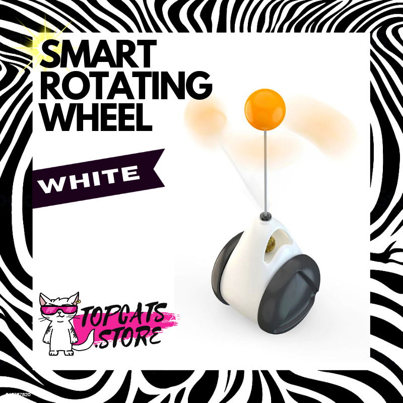 Smart Rotating Wheel Toy ⌁ Interactive Cat Toys ⚡ [5 Colors] 🛍️ SALE!🔥 - TopCats.Store