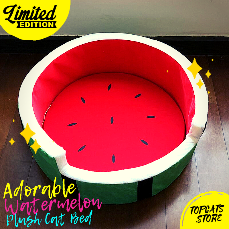 Adorable Watermelon Plush Cat Bed 🍉💤 🛍️ NEW❗ - TopCats.Store