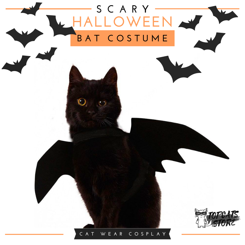 Scary Halloween Bat Costume 🦇 Cat Wear Cosplay 🎃 - TopCats.Store