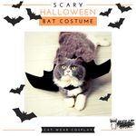 Scary Halloween Bat Costume 🦇 Cat Wear Cosplay 🎃 - TopCats.Store