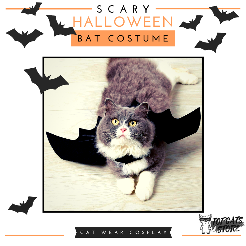 Scary Halloween Bat Costume 🦇 Cat Wear Cosplay 🎃 - TopCats.Store