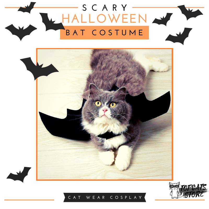 Scary Halloween Bat Costume 🦇 Cat Wear Cosplay 🎃 - TopCats.Store