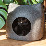 ROUND SLEEPING NEST WITH CUSHION - TopCats.Store