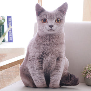 LREA 50cm 3D The simulation cat Cushion COVER Sofa /seat/bed/car /hotel Home Decoration Pillow case Covers - TopCats.Store