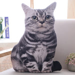 LREA 50cm 3D The simulation cat Cushion COVER Sofa /seat/bed/car /hotel Home Decoration Pillow case Covers - TopCats.Store