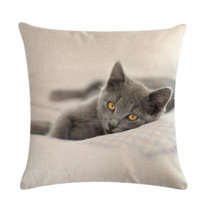 Cute Cat Sofa Decorative Cotton Linen Cushion Cover Pillow Pillowcase 45*45 Throw Pillow Home Decor Pillowcover 40624 - TopCats.Store