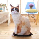 LREA 50cm 3D The simulation cat Cushion COVER Sofa /seat/bed/car /hotel Home Decoration Pillow case Covers - TopCats.Store