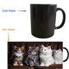 Cute Kittens Cats Fluffy Mugs Heat Reveal Travel Cold Hot Sensitive MilkTransforming Porcelain Tea Coffee Mugs - TopCats.Store