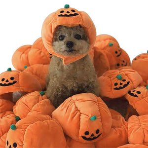 Lovely Pet Hat Halloween Pumpkin Pet Dog Cat Hat Dress Up Headdress Small Dog Cat Cosplay Costume Teddy Poodle Decorative Hats - TopCats.Store