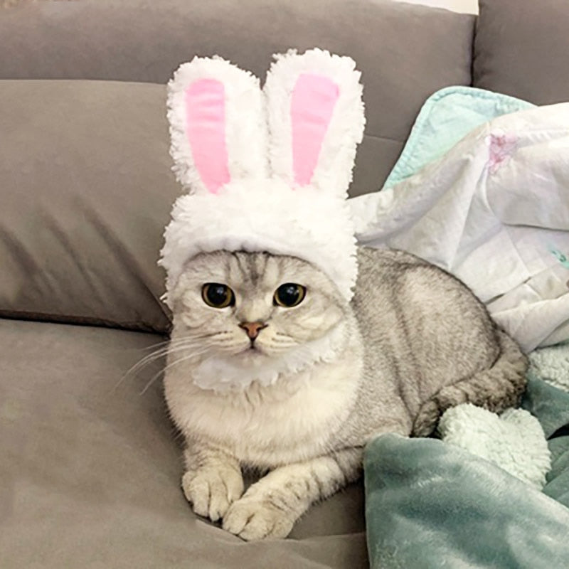 Cat Bunny Cosplay Headgear Dog Transformed Hat Bunny Ears Pet Headdress Pet Costume Role-playing Props Supplies Cat Accessories - TopCats.Store