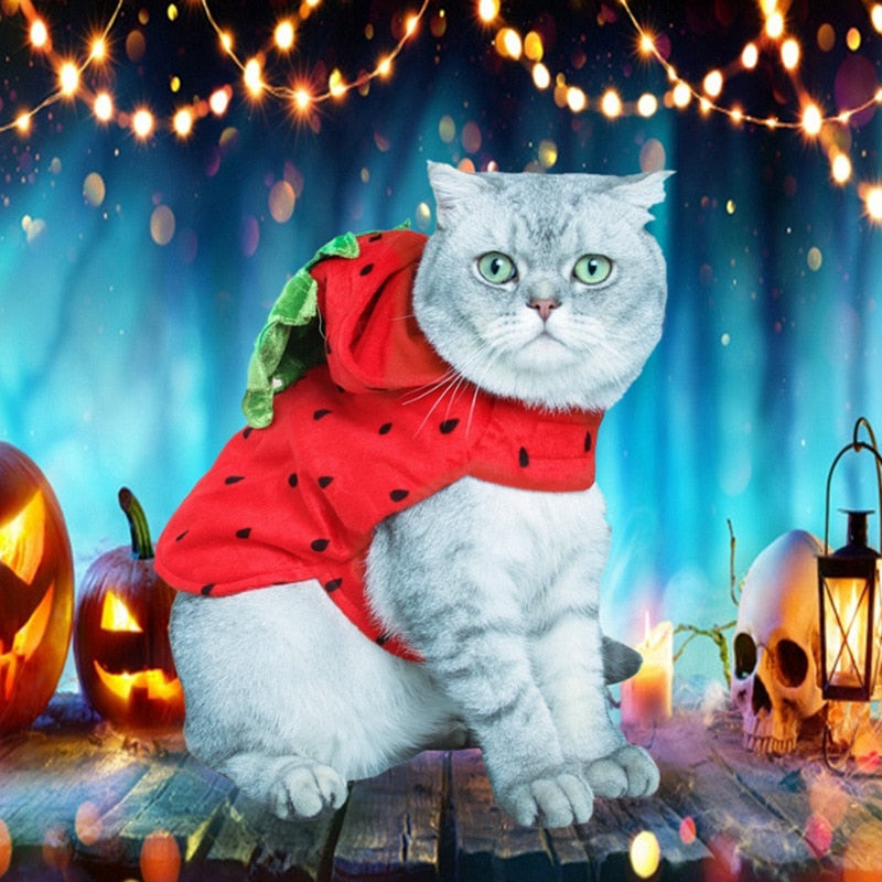 Lovely Pet Cat Clothes Halloween Costumes for Small Pet Clothes Cute Red Strawberry Funny Puppy Decoration Clothes - TopCats.Store