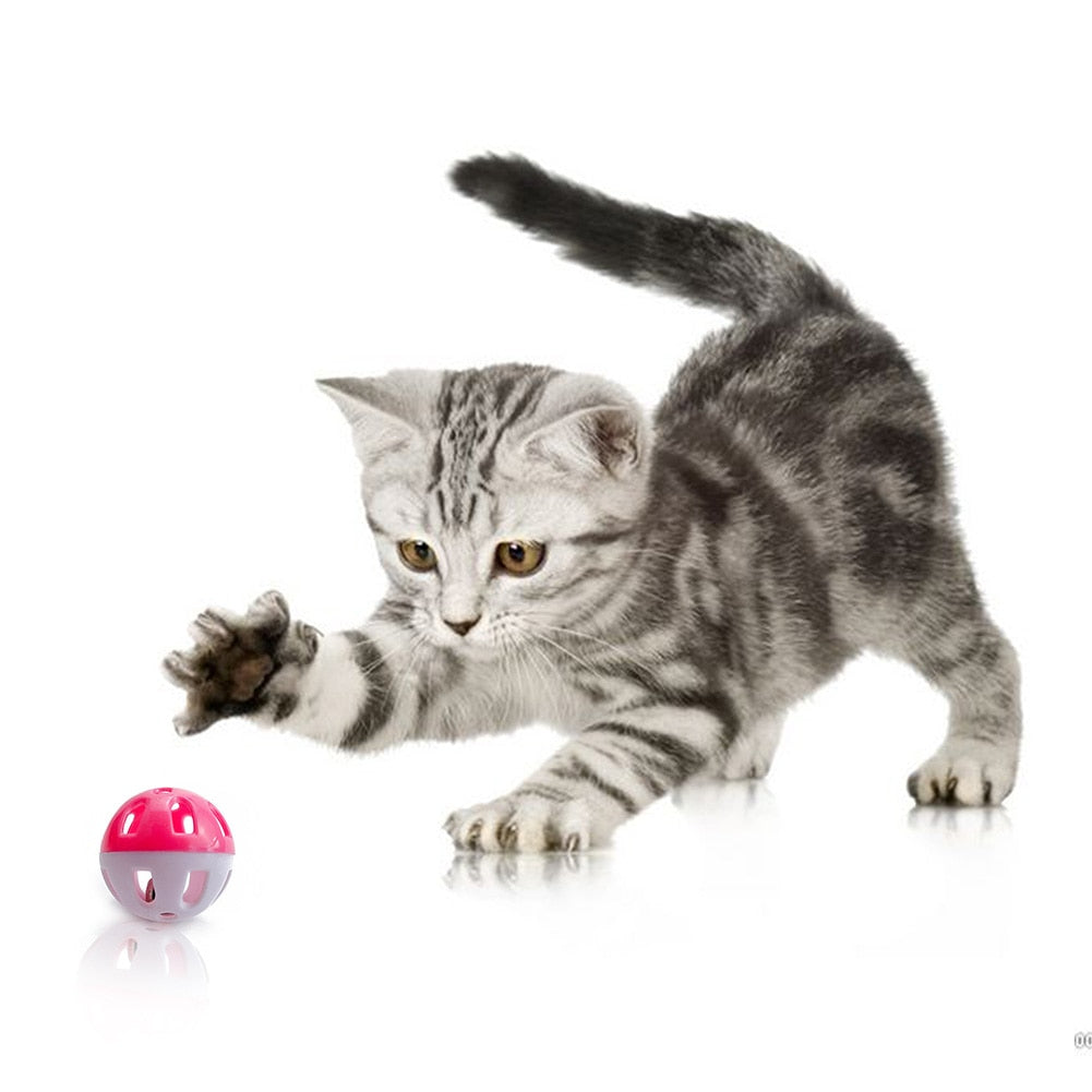 Colourful Cat Ball Toy with Bell Ring Playing Chew Rattle Scratch Training Toys Kitten Playing Training Funny Chewing - TopCats.Store