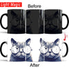 Mr cat mugs magic color changing ceramic 350ml coffee milk muugs cup gift office mug - TopCats.Store